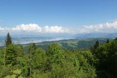 250510_aussicht_albishorn