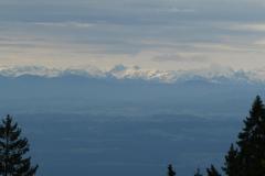 250528_aussicht_nahe_weissenstein