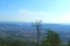 250703_pano_uetli_20