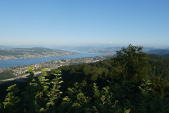 250710_uetli21_aussicht_zuerichsee
