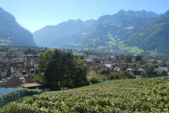 250919_altdorf