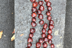 251004_rosskastanien