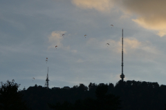 251010_uetli_abend_gleitschirme