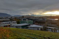 251102_Steinh_mariahilf