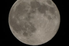 251105_m_vollmond