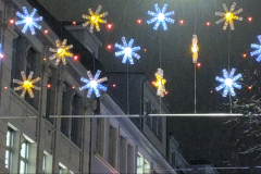 251124_loewenstr_weihnb