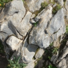 IF