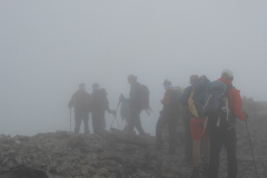 Gruppe im Nebel