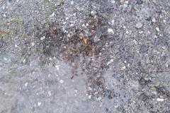 240106_regenpfuetze