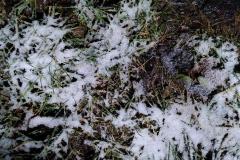 240107_abendschnee
