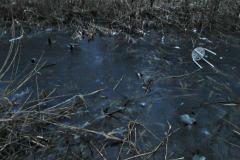 240114_binz-teich