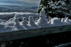 240116_winterdeko_uetli