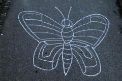 240202_04_kreide_schmetterling