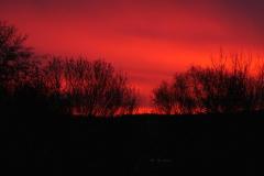 240403_morgenstimmung