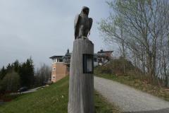 240407_albishorn_holzvogel