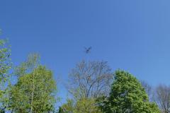 240412_holz_heli