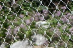 240714_vor_aussicht