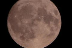 240720_fast_volmond