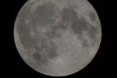 240819_vollmond