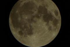 240919_2152_m_fastvollmond