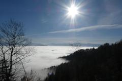 241021_uetliberg_unten_nebel