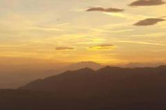 241105_tb_manegger_bulletin_275