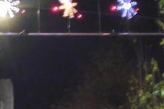 241125_loewenstrasse