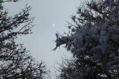 241226_nebel_aussicht