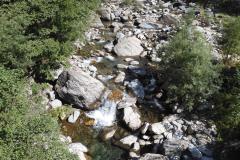27.7.: «Steinreicher» Bach