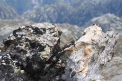 26.7.: Nochmals Steinkunst
