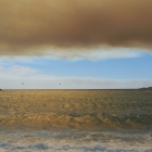 10.8.: Waldbrandspuren II