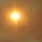 10.8.: Waldbrandspuren V