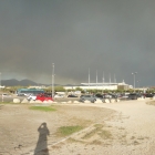 10.8.: Waldbrandspuren VI