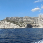 11.8.: Vielfalt