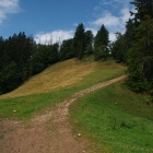 109_3346