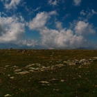 165_3446_3453