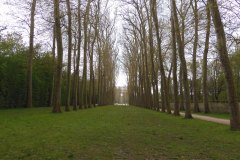 25.4.: Platanenallée Château de Versailles