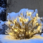 141230_01_strauch