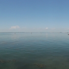 140807_11169-11176