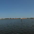 140807_11217-11223