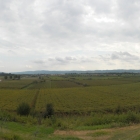 140809_11389-11394