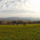 30.9: Oberer Friesenberg, Blick über die Stadt Zürich