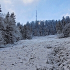 3.1.: Uetliberg-Ostwand mit etwas Schnee