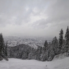 16.1.: aus der Uetliberg-Ostwand