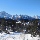 22.1.: Blick zurück beim Aufstieg zur Loochalp (ob Arvenbühl/Amden)