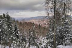 8.1.: Ausblick beim Weg zum Uetliberg