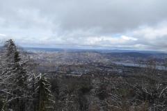 14.3.: Aussicht vom Uetliberg