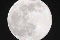 28.3.: Vollmond