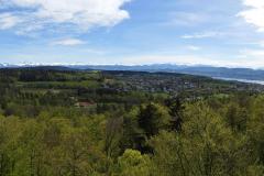 8.5.:  Aussicht von Loorenkopf-Turm bei Adlisberg/Witikon/Zürich