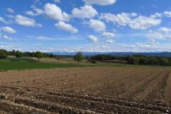 23.5.: Aussicht von Oberwil nahe Brütten